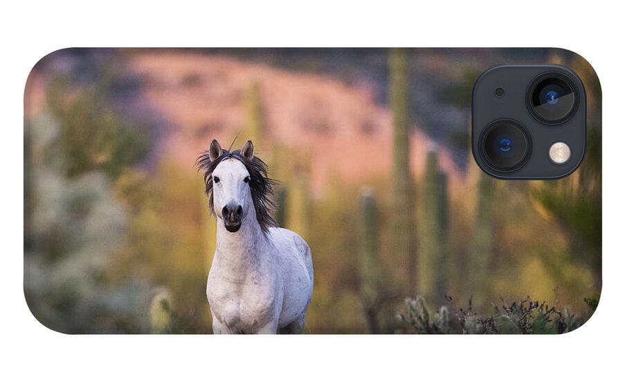 Stallion iPhone 13 Case featuring the photograph White Stallion by Shannon Hastings