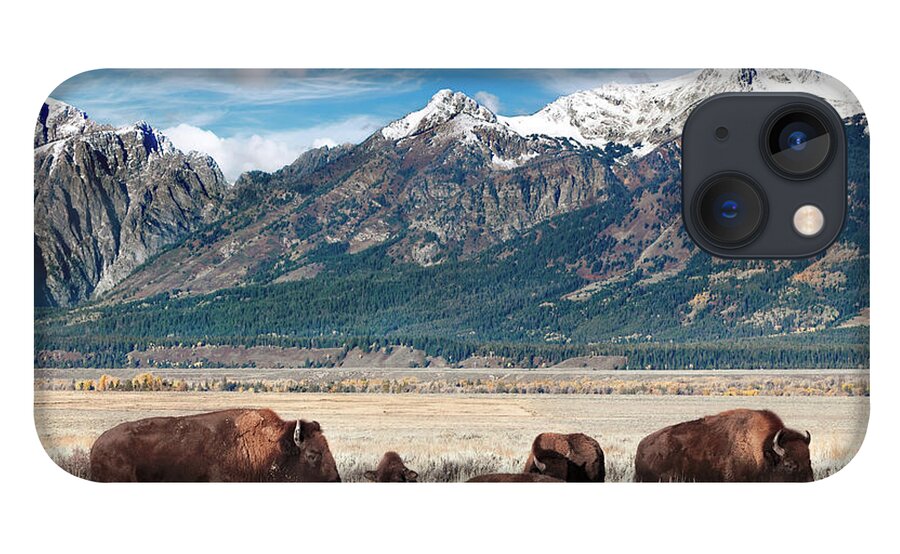 Bison iPhone 13 Case featuring the photograph Wild Bison on the Open Range by Kathleen Bishop