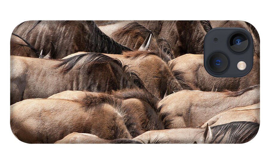 Kenya iPhone 13 Case featuring the photograph Wildebeests, Kenya by Mint Images/ Art Wolfe