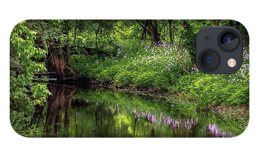 Wildflowers iPhone 13 Case featuring the photograph Wildflower Reflections by Rod Best