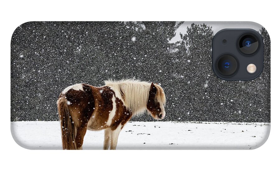 Horse iPhone 13 Case featuring the photograph Winter Snows by Jody Partin