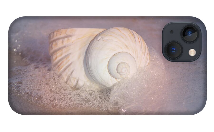 Shells iPhone 13 Case featuring the photograph Worn By The Sea by Kathy Baccari