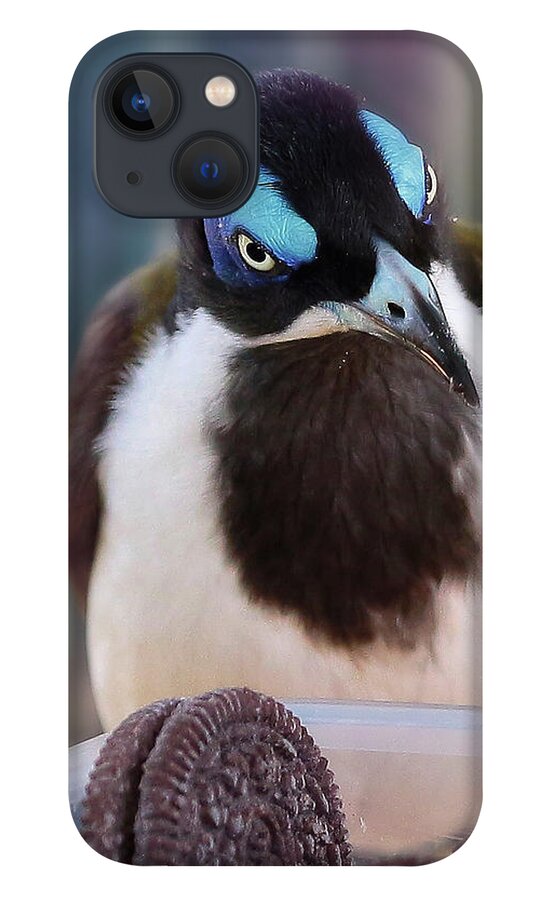 Blue Face Honey Eater iPhone 13 Case featuring the digital art Yum chocolate cookies 01 by Kevin Chippindall
