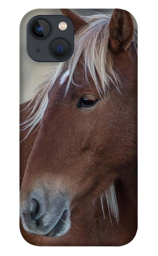 Honey iPhone 13 Case featuring the photograph _z3a9543 by John T Humphrey