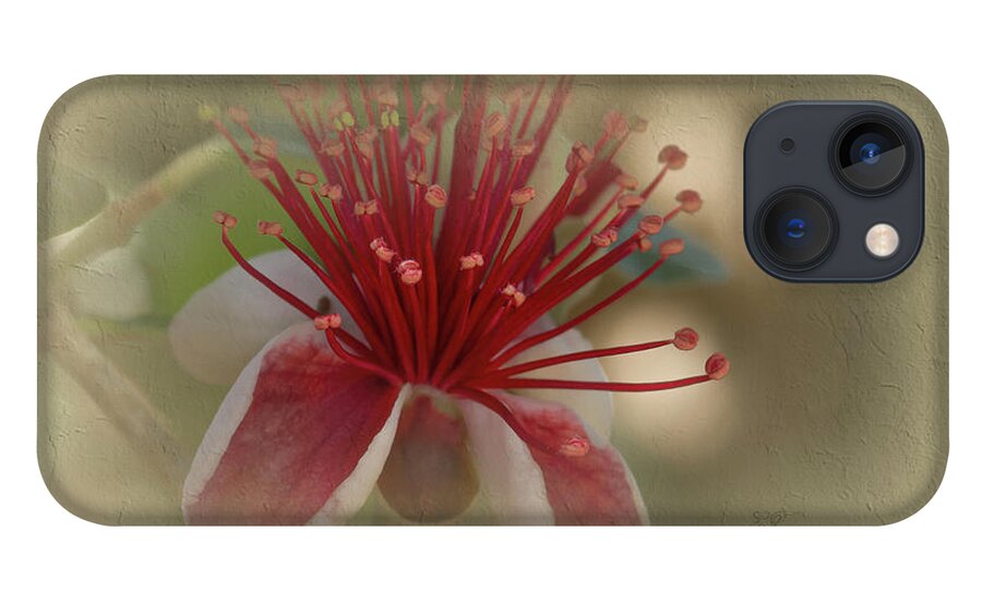 Flowers iPhone 13 Case featuring the photograph Feijoa #1 by Elaine Teague