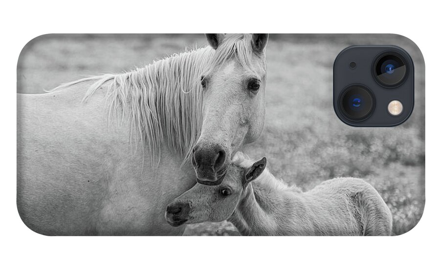 Horse iPhone 13 Case featuring the photograph Hugging momma #1 by Jamie Tyler