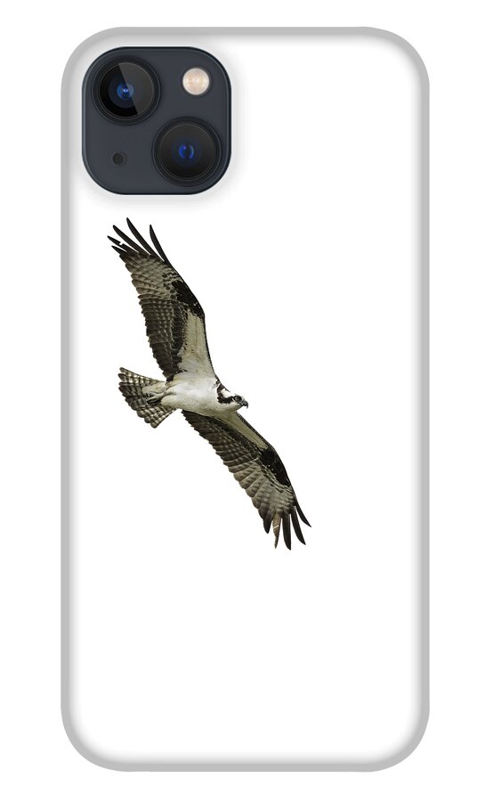 Osprey iPhone 13 Case featuring the photograph Isolated Osprey 2021-1 by Thomas Young