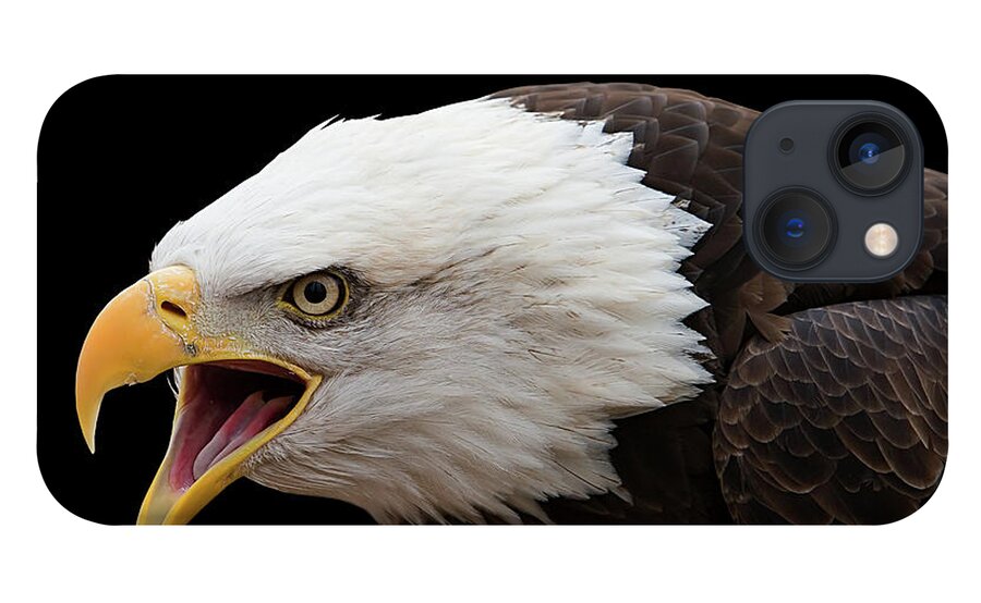 Screaming Eagle iPhone 13 Case featuring the photograph Screaming Eagle #1 by Randall Allen