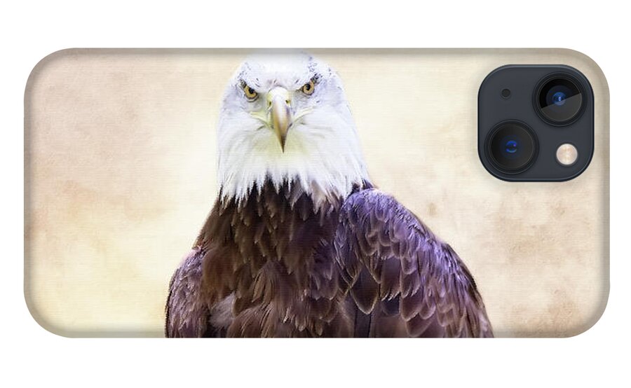 Bald Eagle iPhone 13 Case featuring the photograph Stare Down #1 by Ed Taylor