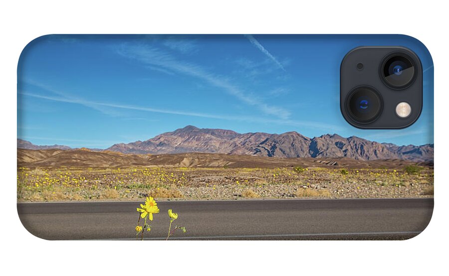 Death Valley National Park iPhone 13 Case featuring the photograph Superbloom in death valley #1 by Kunal Mehra