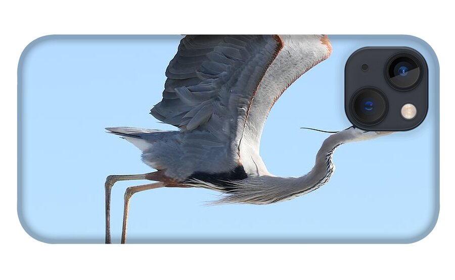 Great Blue Heron iPhone 13 Case featuring the photograph Taking Off by Mingming Jiang