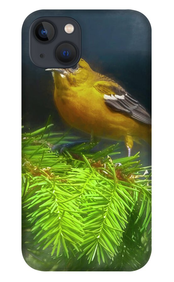 Songbird iPhone 13 Case featuring the photograph The Oriole #1 by Cathy Kovarik