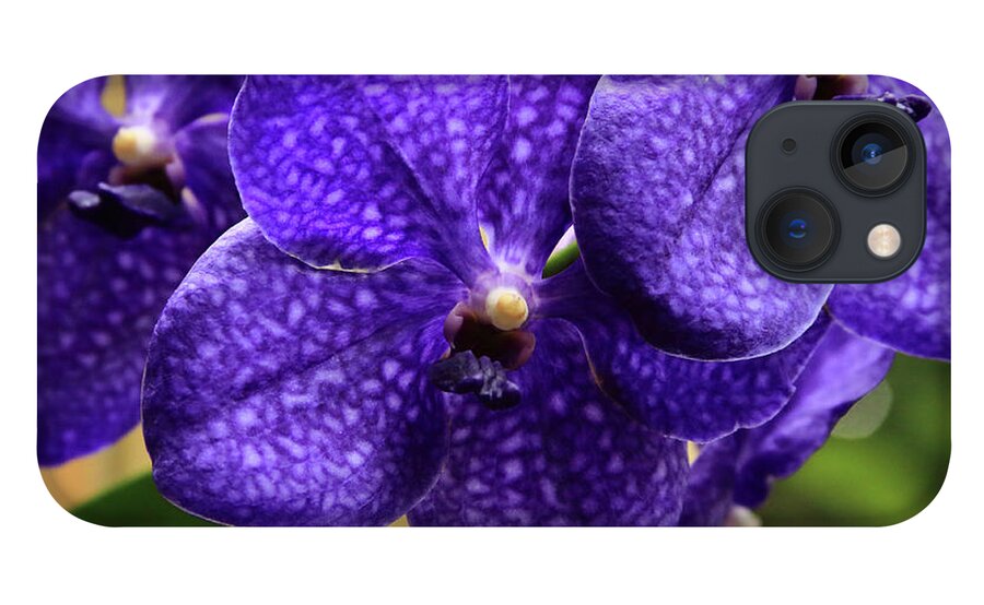 China iPhone 13 Case featuring the photograph Vanda Orchid by Tanya Owens