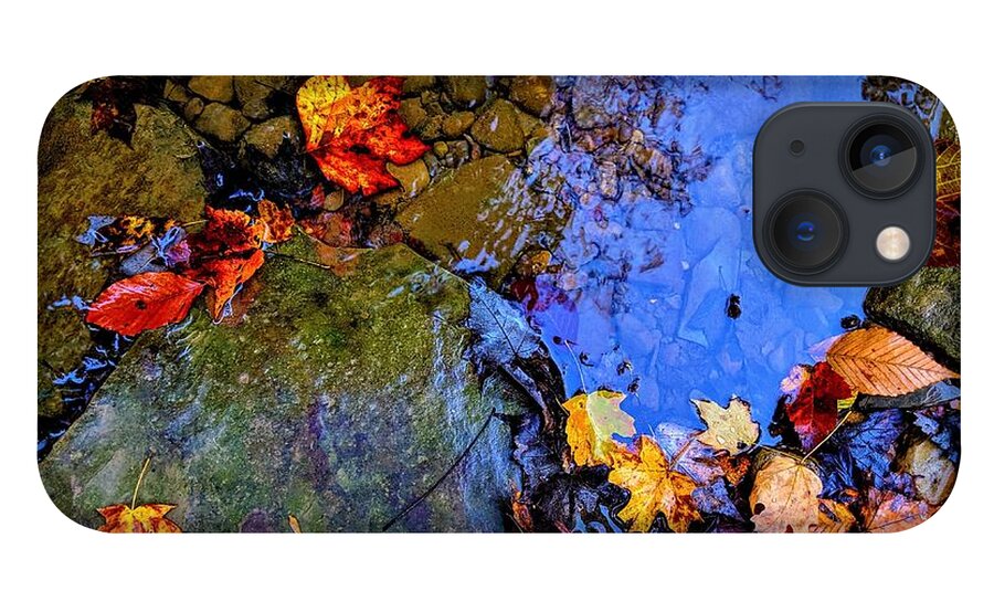 iPhone 13 Case featuring the photograph Fall Leaves by Brad Nellis