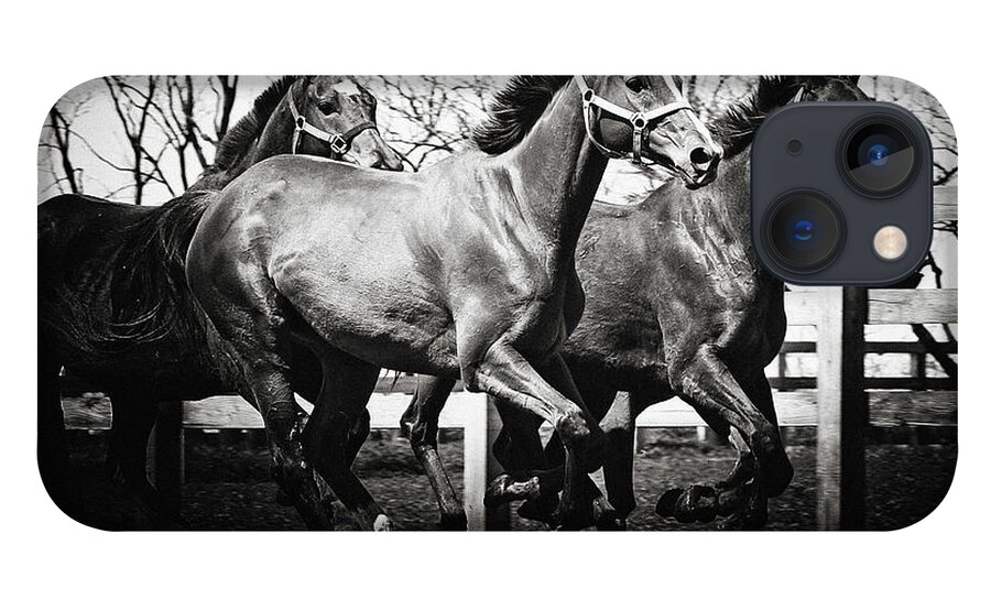Horse iPhone 13 Case featuring the photograph Galloping horses Black and White by Dimitar Hristov