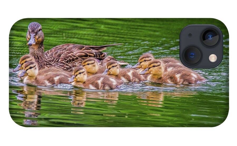 Ducklings iPhone 13 Case featuring the photograph Family Outing #3 by Cathy Kovarik