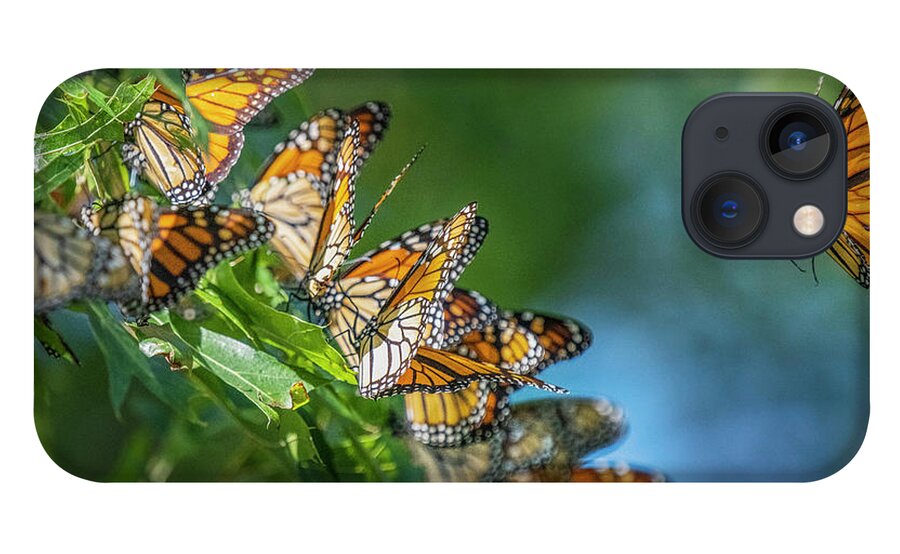 3000 Mile Monarch Migration iPhone 13 Case featuring the photograph 3000 Mile Monarch Migration by Sandra Rust