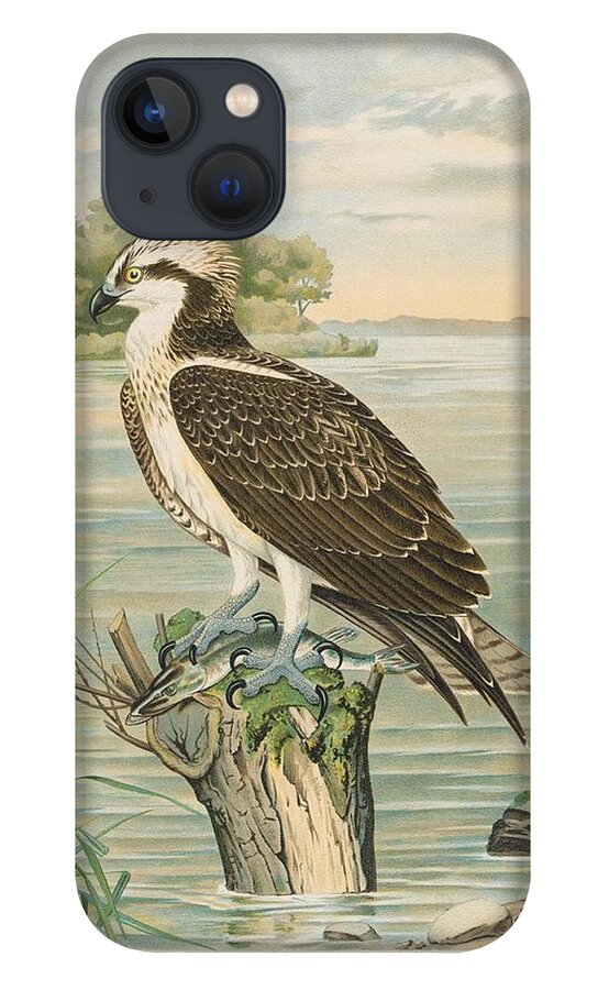 Raptor iPhone 13 Case featuring the mixed media Beautiful Vintage Raptor #31 by World Art Collective