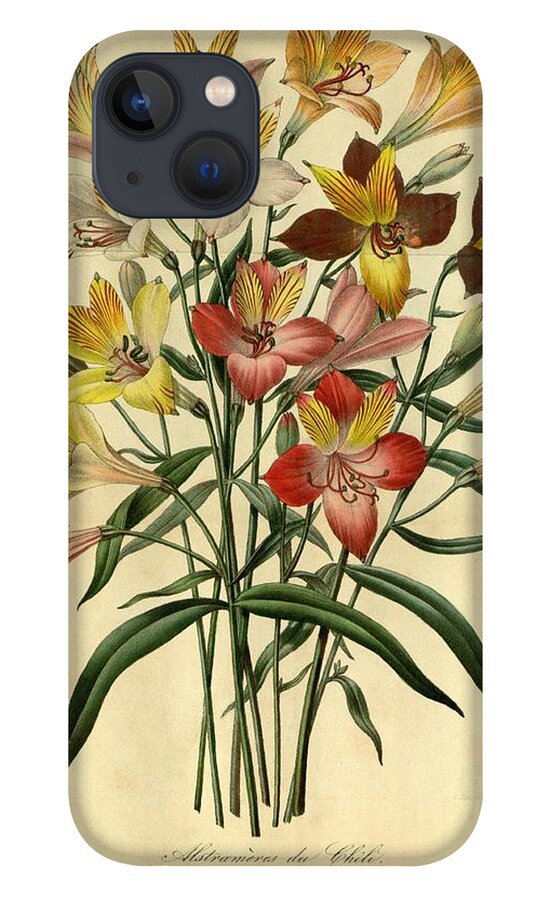 Orchid iPhone 13 Case featuring the mixed media Vintage Flower #38 by World Art Collective