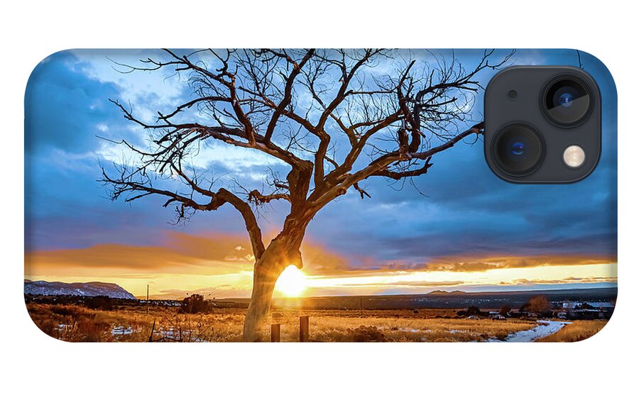 Taos iPhone 13 Case featuring the photograph Taos Welcome Tree #3 by Elijah Rael