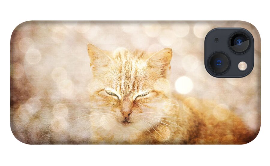Cat iPhone 13 Case featuring the photograph A cat dream by Yasmina Baggili