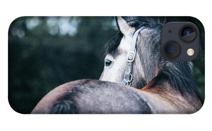 Horse iPhone 13 Case featuring the photograph A close-up portrait of horse profile in nature by Dimitar Hristov