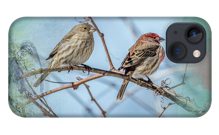House Finch iPhone 13 Case featuring the photograph A House Finch Love Story by Sandra Rust
