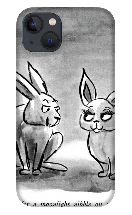 A Midnight Nibble iPhone 13 Case