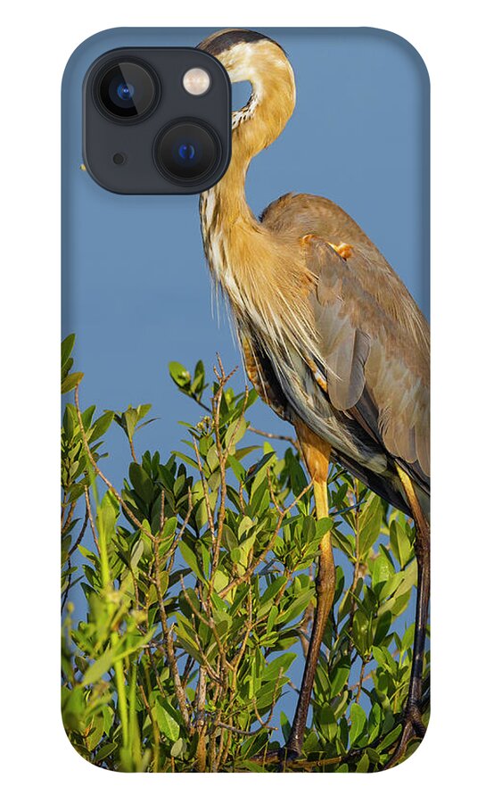 R5-2653 iPhone 13 Case featuring the photograph A Proud Heron by Gordon Elwell
