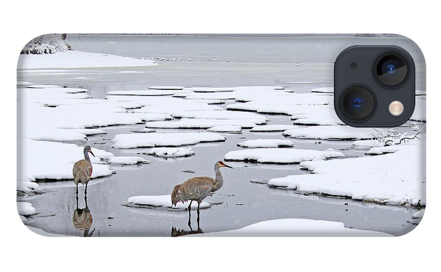 Sandhill Crane iPhone 13 Case featuring the photograph A Sandhill Crane Couple in a Michigan Winter Wonderland by Shixing Wen