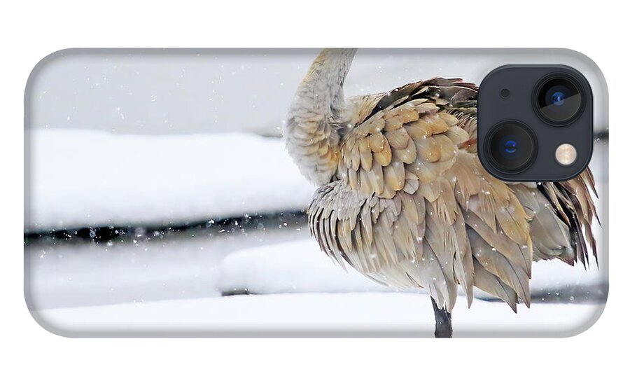 Sandhill Crane; Wild Bird; Cranes; Winter Scene; Snow; Michigan iPhone 13 Case featuring the photograph A Sandhill Crane Standing in Snow by Shixing Wen