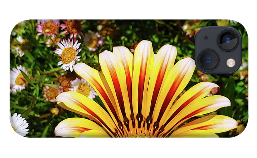 Flowers iPhone 13 Case featuring the photograph A Sunrise of Flowers by Marcus Jones