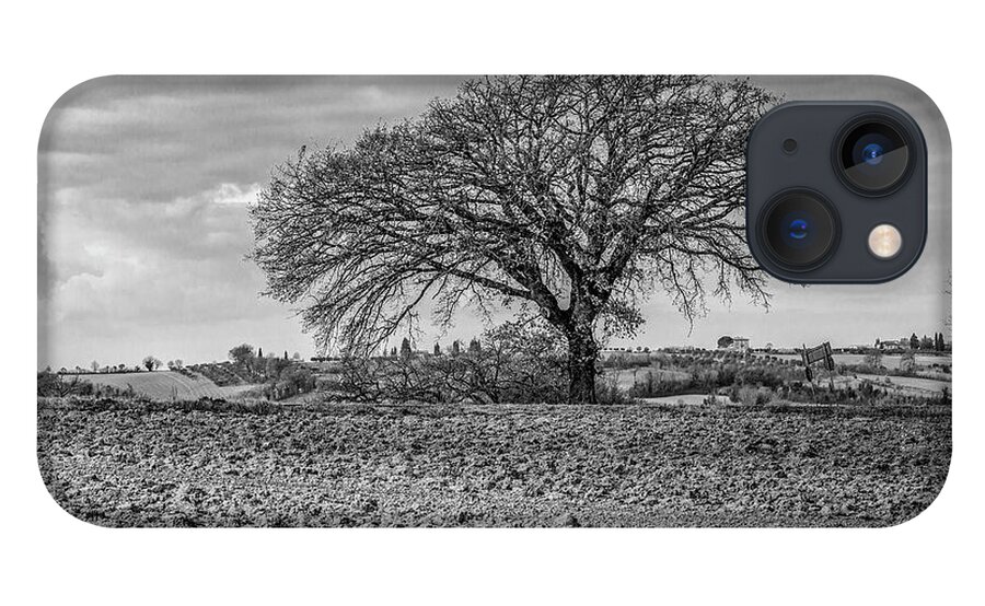 Nature iPhone 13 Case featuring the photograph A Winter's Tree in Umbria by W Chris Fooshee