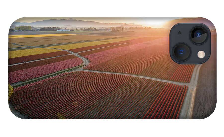 Skagit iPhone 13 Case featuring the photograph Aerial Tulips1 by Michael Rauwolf