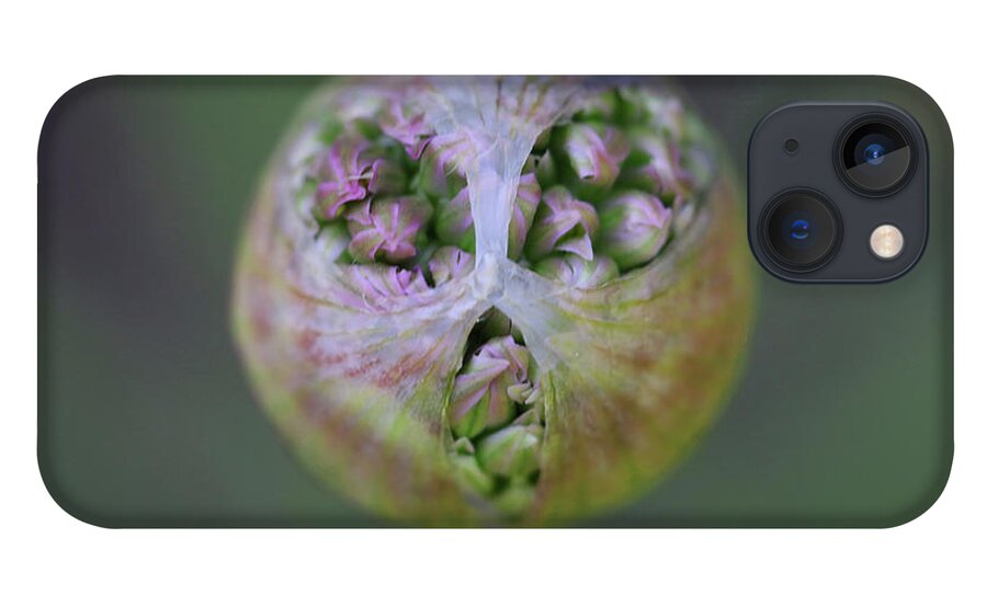  iPhone 13 Case featuring the photograph Allium Covid Flower by Tammy Pool