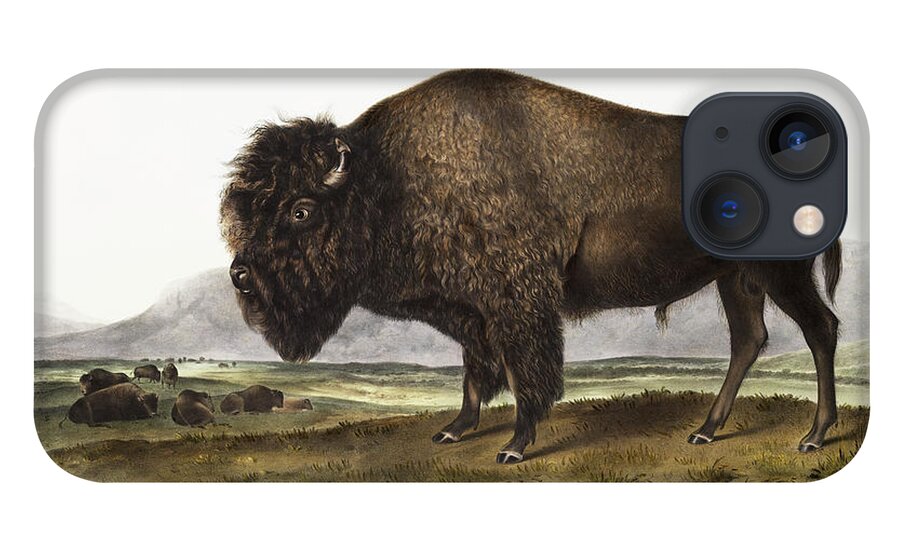 American Animals iPhone 13 Case featuring the mixed media American Bison. John Woodhouse Audubon by World Art Collective