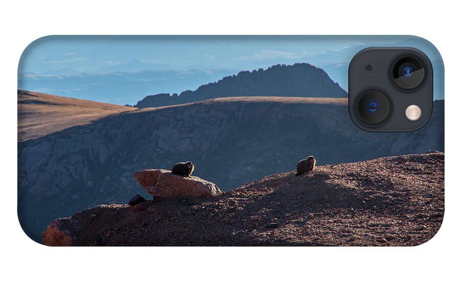 Mountain Life iPhone 13 Case featuring the photograph Animals On A Mountain by Nathan Wasylewski