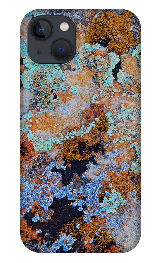 Arizona Carpet iPhone 13 Case featuring the photograph Arizona Carpet by Mae Wertz