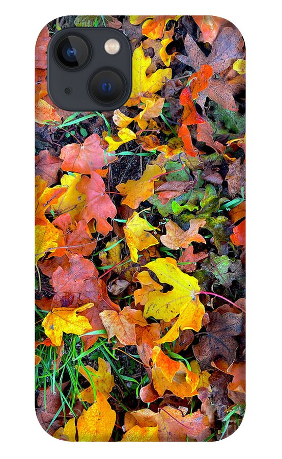 Fall iPhone 13 Case featuring the photograph At the Feet of Fall by Maya Mey Aroyo