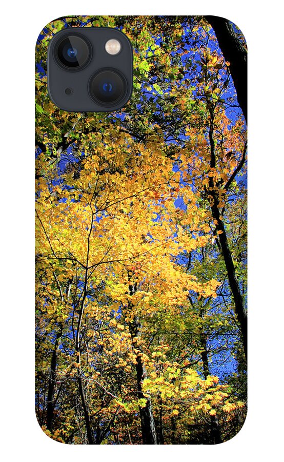 Autumn iPhone 13 Case featuring the photograph Autumn Splendor by Steve Ember