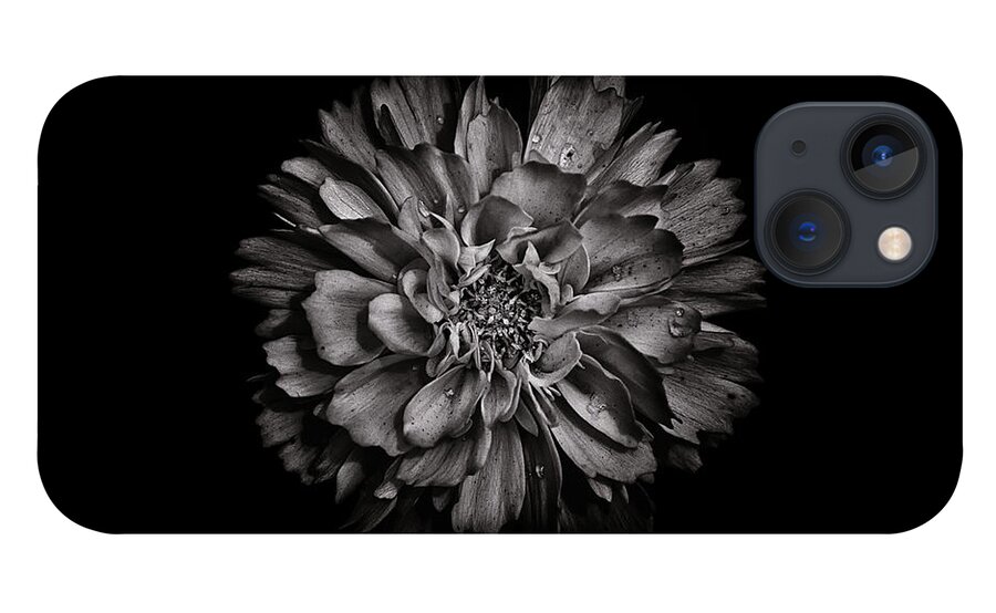 Brian Carson iPhone 13 Case featuring the photograph Backyard Flowers In Black And White 79 by Brian Carson
