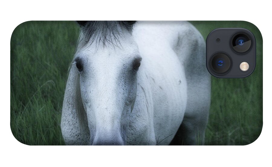 Hacienda Bambusa Horse iPhone 13 Case featuring the photograph Bambusa Horse - Colombia by Gene Taylor
