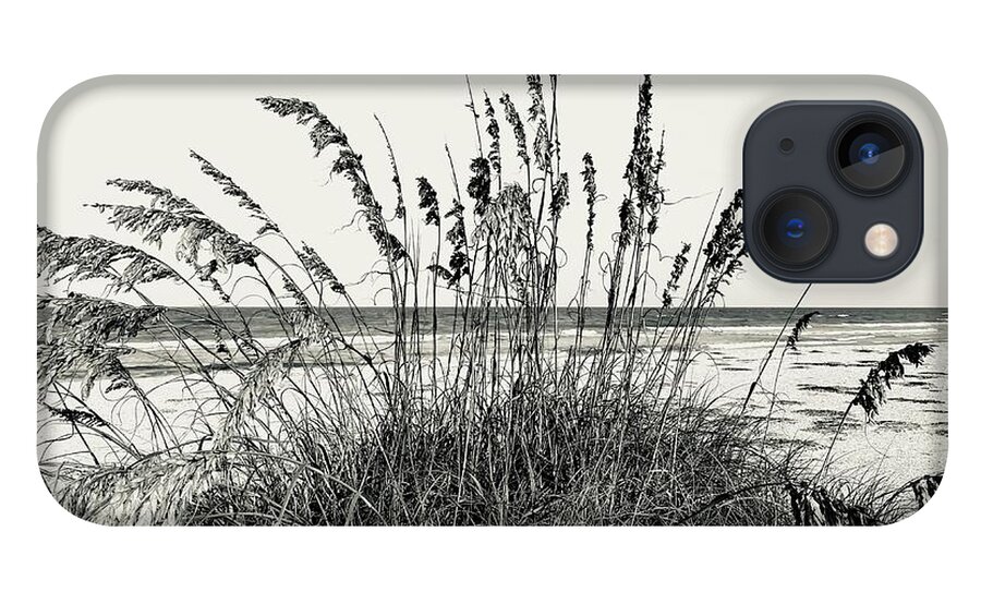 St Augustine Beach Florida Usa John Anderson iPhone 13 Case featuring the photograph Beach Time, amongst the Grasses by John Anderson