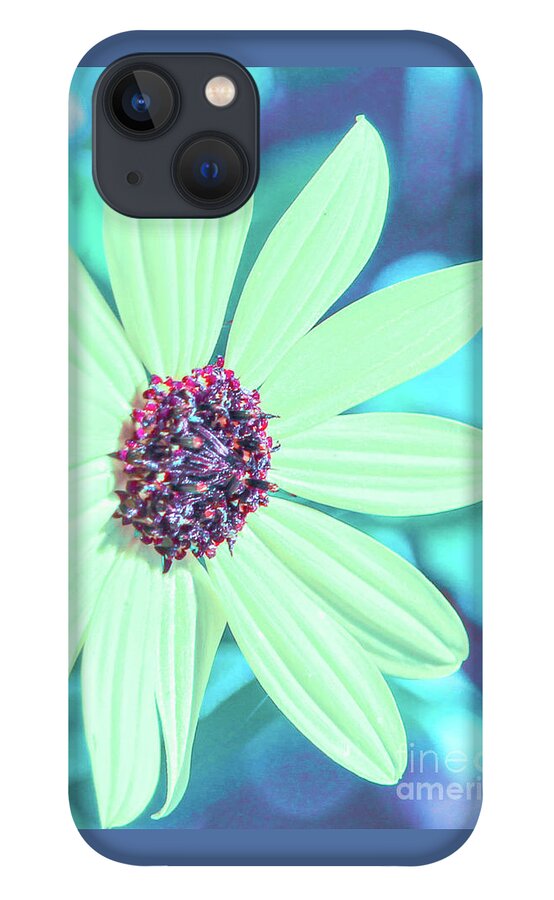 Sunflower iPhone 13 Case featuring the photograph Beachy colors sunflower by Joanne Carey