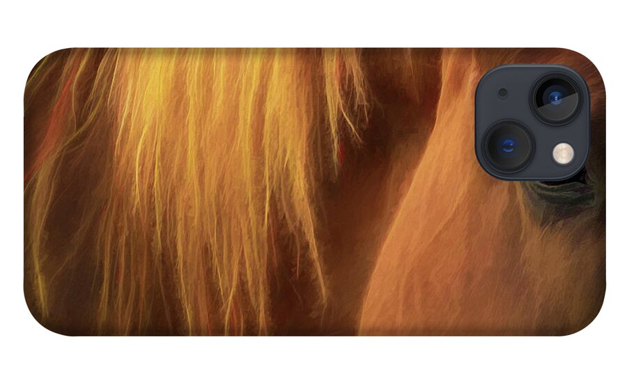 Horse Macro iPhone 13 Case featuring the photograph Beauty Golden Light by Kevin Lane