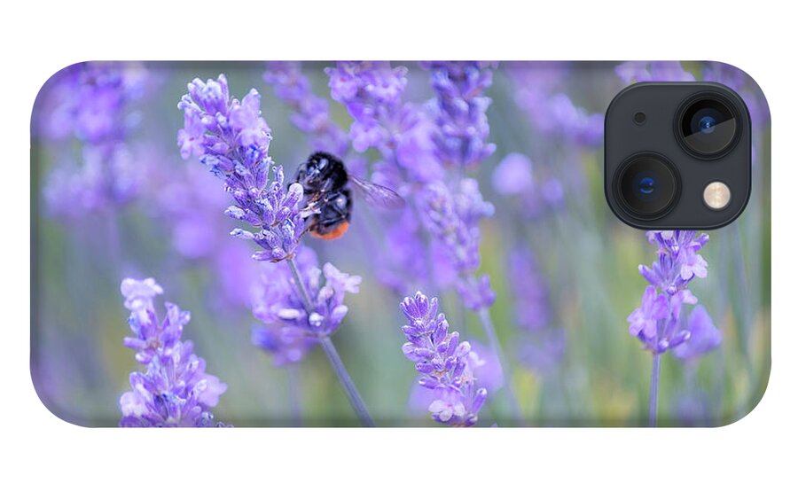 Lavender iPhone 13 Case featuring the photograph Bee buzzing in the lavender by Andrew Lalchan