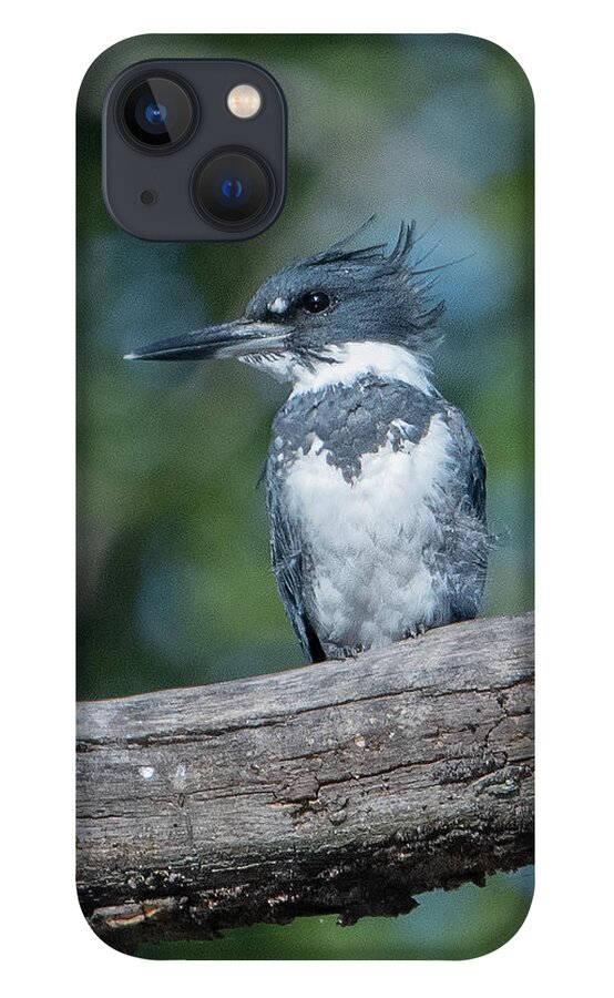 Nature iPhone 13 Case featuring the photograph Belted Kingfisher DSB0380 by Gerry Gantt