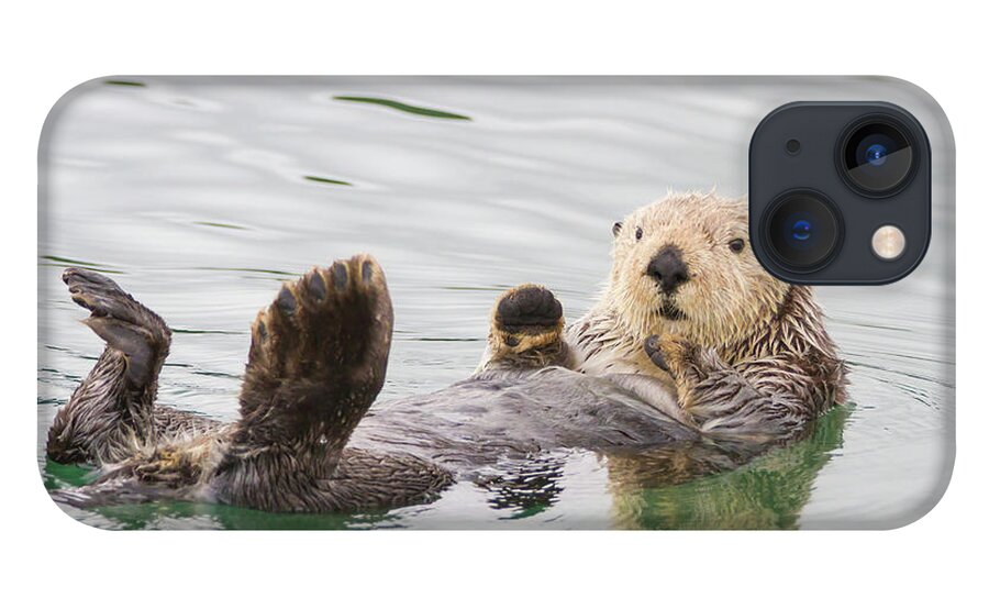Otter iPhone 13 Case featuring the photograph Big Foot by Chris Scroggins