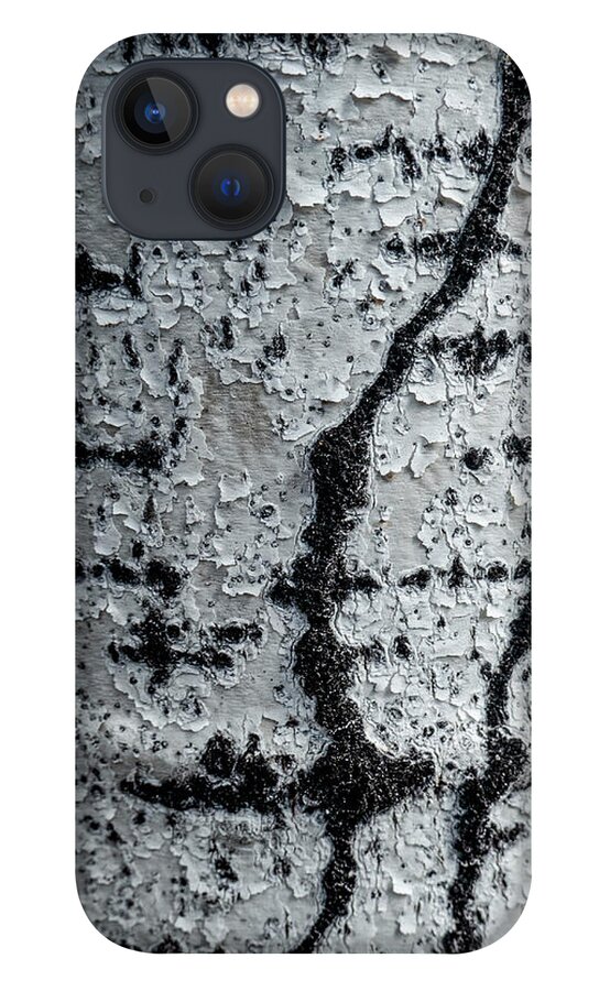 Bark iPhone 13 Case featuring the photograph Birch Bark Abstract by Karen Rispin
