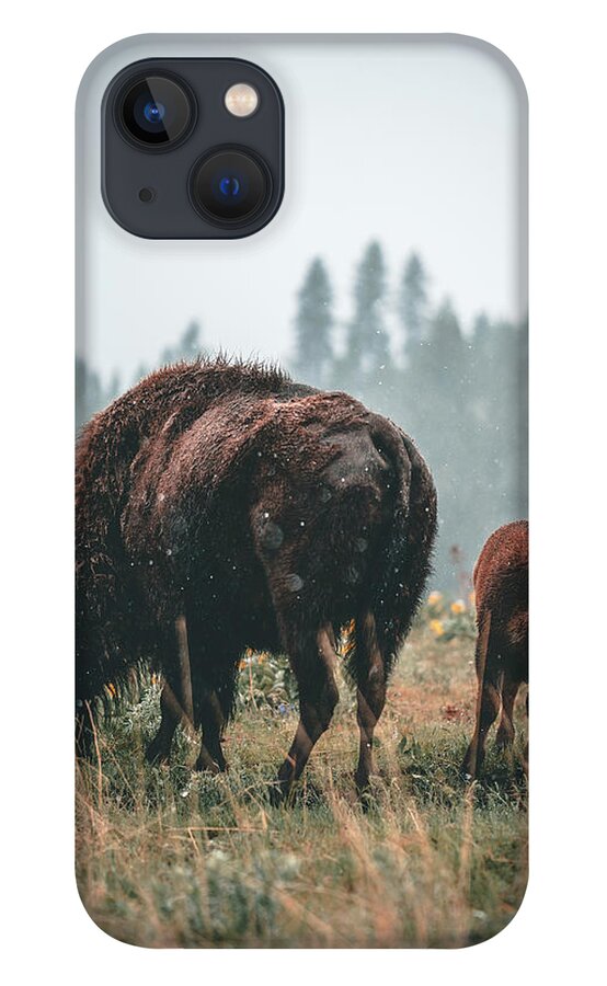 iPhone 13 Case featuring the photograph Bison and Calf by William Boggs